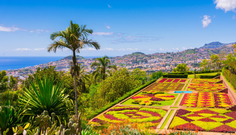 hotéis favoráveis em Funchal